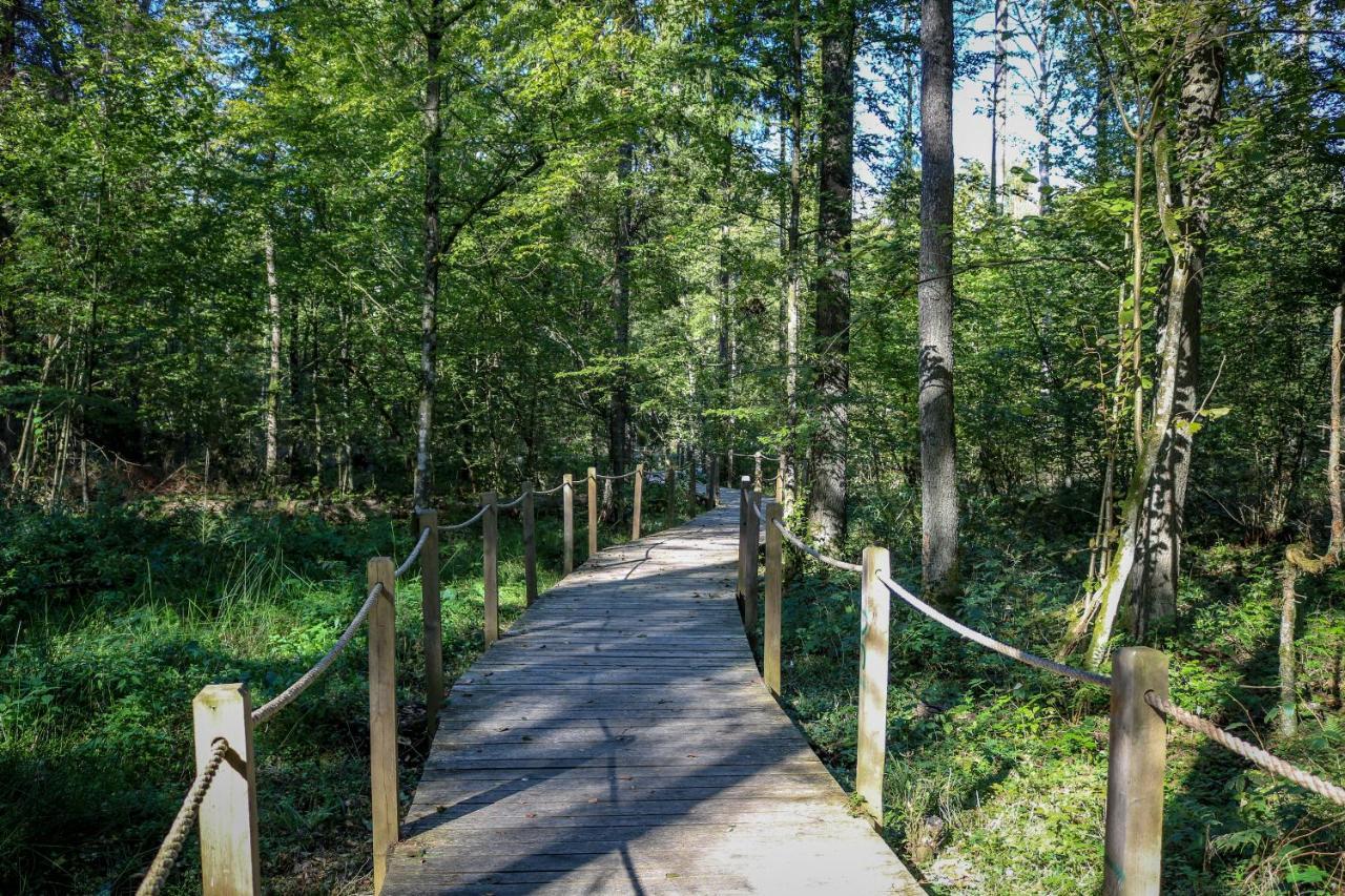 Lesna 21 Dom Poludnie Przy Puszcza Bialowieska Luka Dış mekan fotoğraf