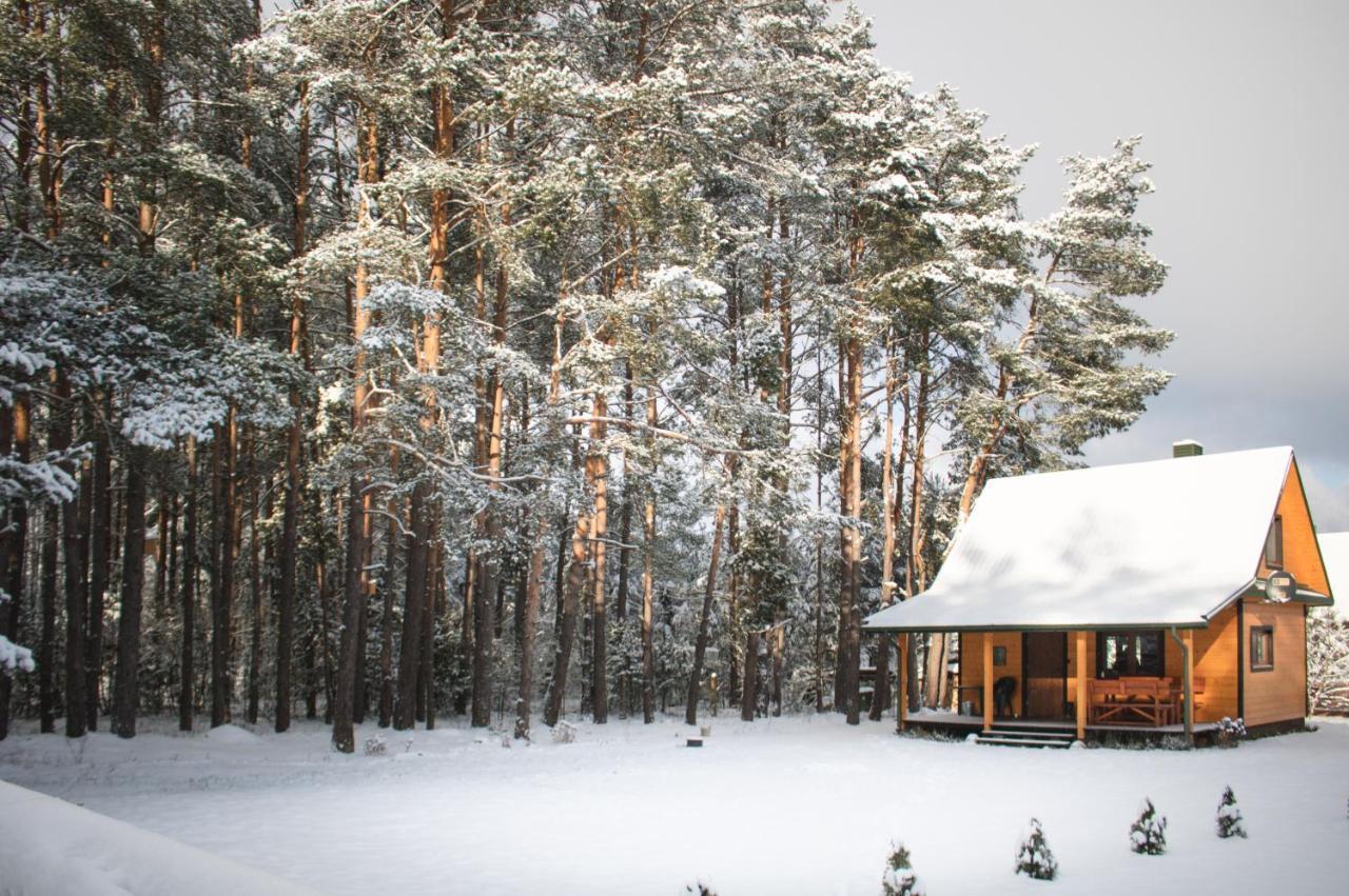 Lesna 21 Dom Poludnie Przy Puszcza Bialowieska Luka Dış mekan fotoğraf