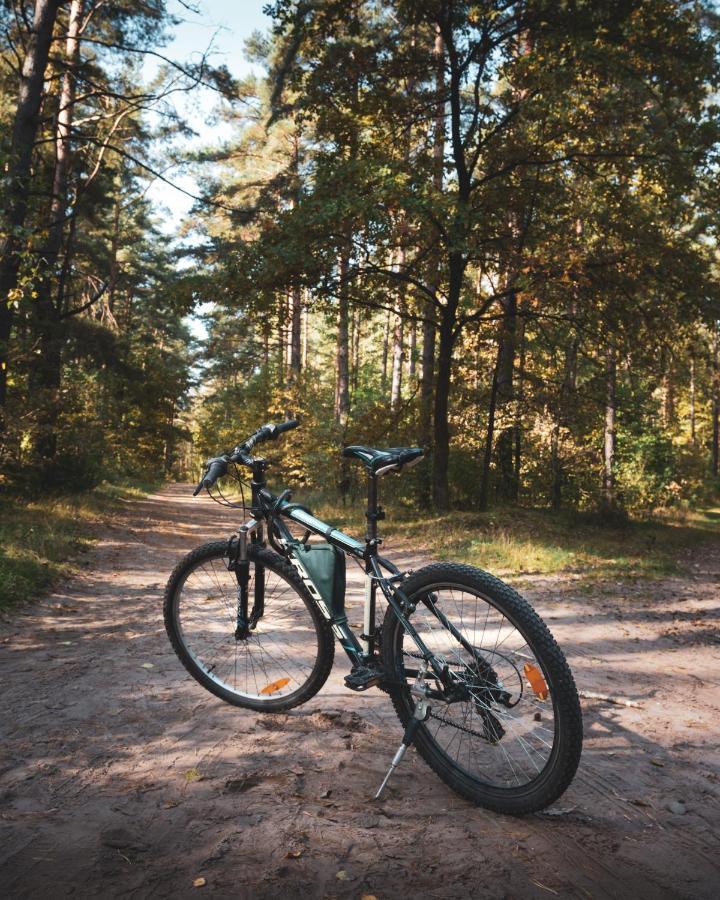 Lesna 21 Dom Poludnie Przy Puszcza Bialowieska Luka Dış mekan fotoğraf