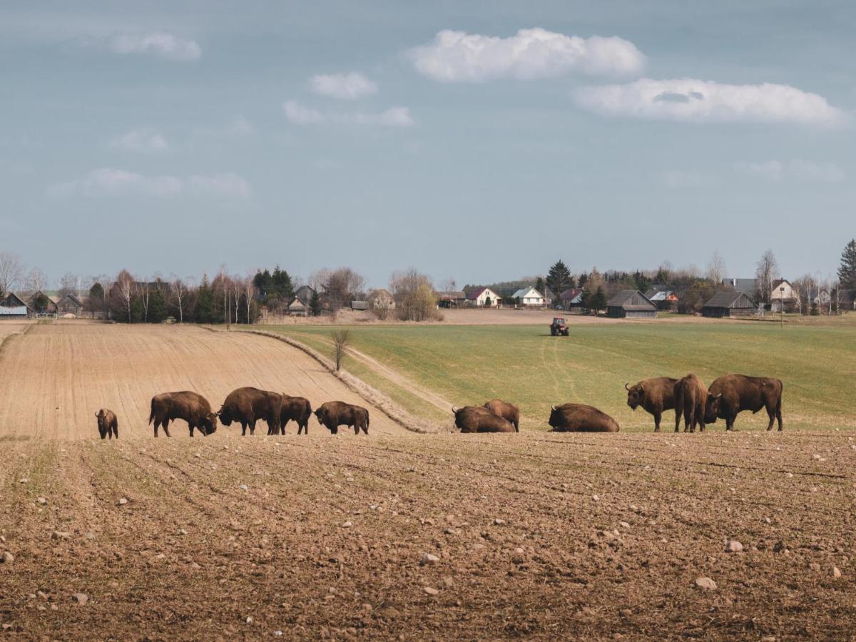 Lesna 21 Dom Poludnie Przy Puszcza Bialowieska Luka Dış mekan fotoğraf