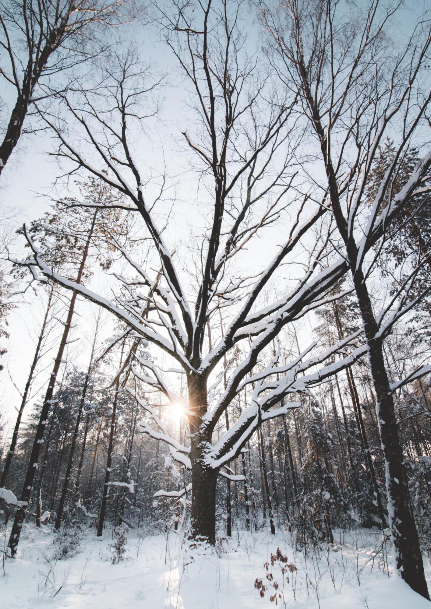 Lesna 21 Dom Poludnie Przy Puszcza Bialowieska Luka Dış mekan fotoğraf